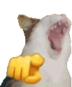Rzhaka emote