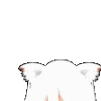 Peek emote