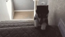 explode emote