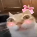 CuteErm emote