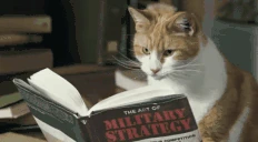 READING emote