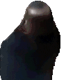sealSpin animated emote
