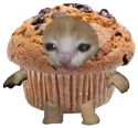 MuffinCat emote