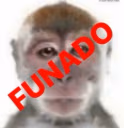 FUNAO emote
