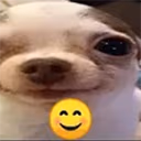 Smile emote