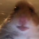 hampter emote