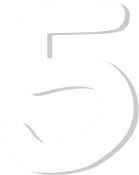 white_five emote