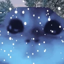 CHILLY emote