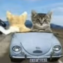 car emote