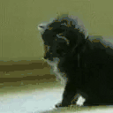 AbangPengsan animated emote