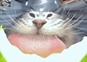 DEVOUR emote