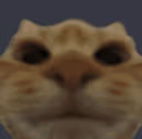 swagfront emote