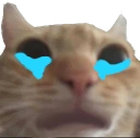 wah emote