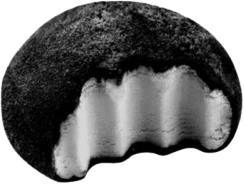 BlackMochi emote