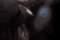 AREYOUABEAR emote