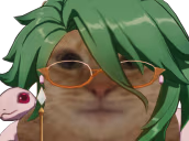 BAIZHU emote