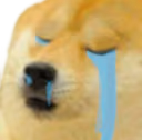 dogecry emote