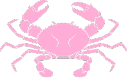 zodiactransparent_IDS emote