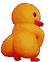 duckassDisco emote