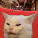 Cat_Unpleased emote