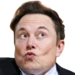 elonwhoa emote