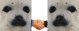 SealTheDeal emoji