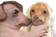 domesticViolence emote