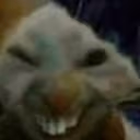 xdx emote