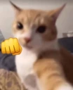 tekagaste emote