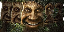 TheWoods emote