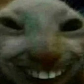 xdd emote