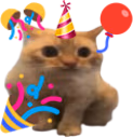 birthdaySpoingus emote