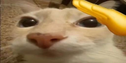 otag7 emoji