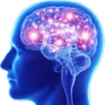 bigbrain emote