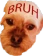 Bruh_Dog emote