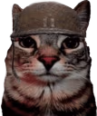 soldjacat emote