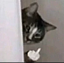PussyFinger emote