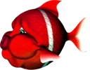 bloob emote