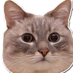 Sallamander static emote