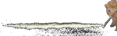 cokebert emote