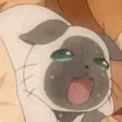 rollopanic emoji
