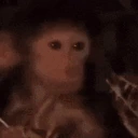 WallahiImFinished emote