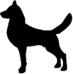 dog emote