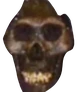 skil emote