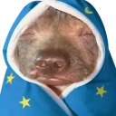 creatureSleepy emote