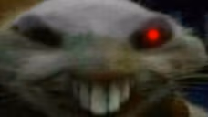 zxddc emote