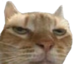 Ugh emote