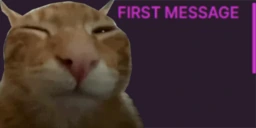 firsttimebuher emote