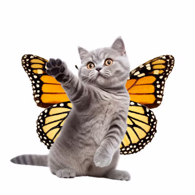 Butterflykitty emote