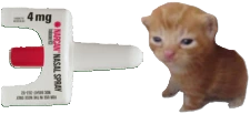 narcanbert emote